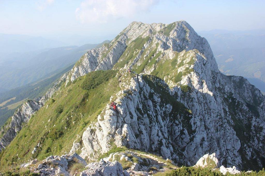 Pensiune Maria Rucăr エクステリア 写真